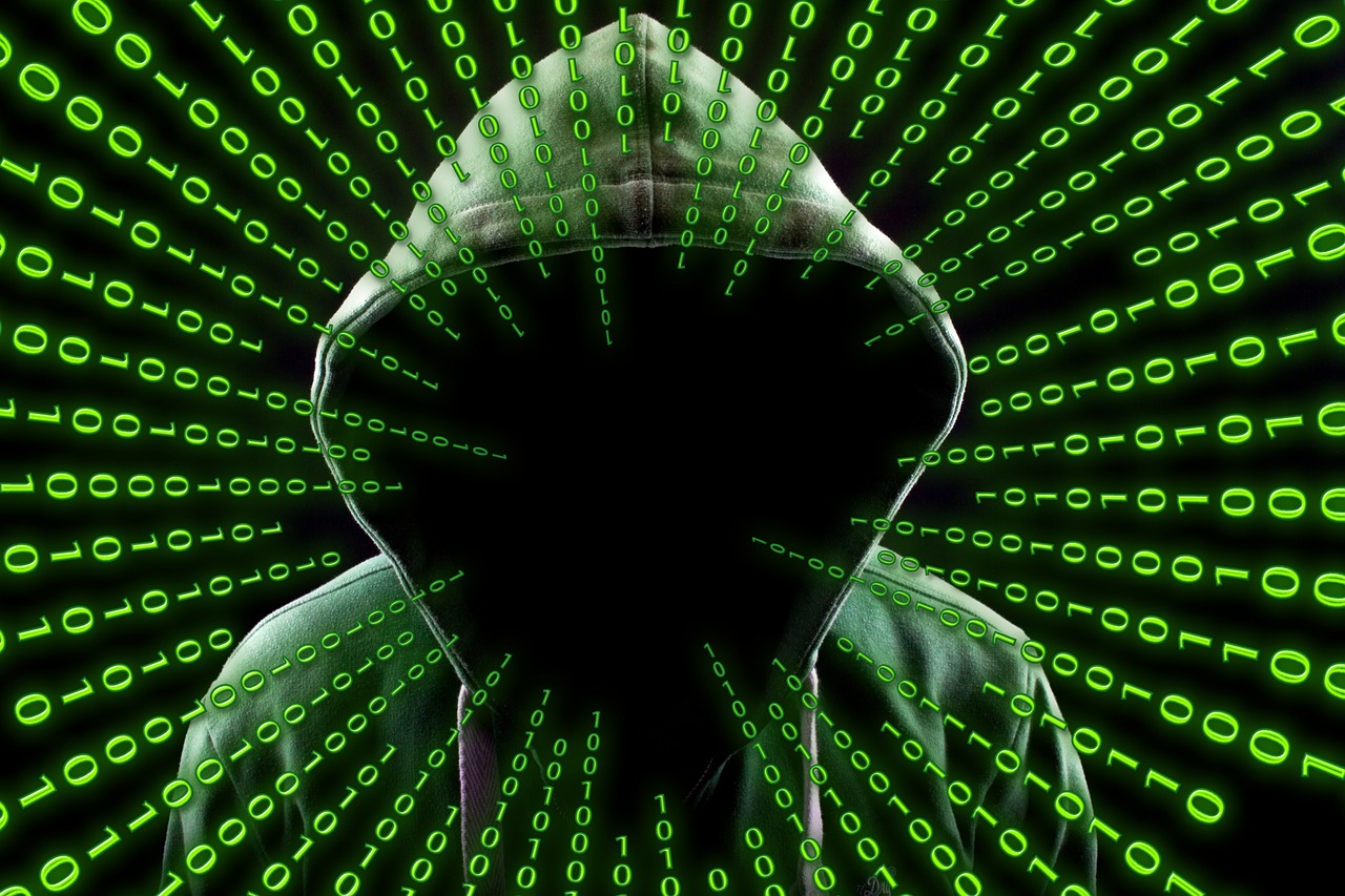 Allarme hacker, attacchi russi a siti di istituzioni italiane